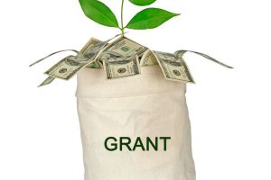 Canvas bag labeled GRANT with money spilling out and a green seedling growing from it.