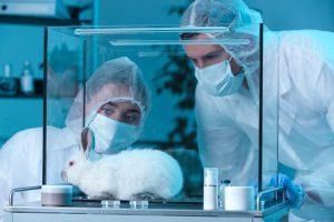 Two researchers in protective suits observe a white rabbit inside a transparent enclosure in a lab, wearing masks and gowns.