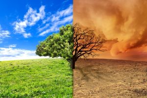 Split image with a lush green landscape and healthy tree on the left and a dry cracked desert with a dead tree on the right, illustrating life vs drought.