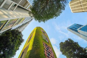 Low-angle view of a green ivy-covered building surrounded by tall modern skyscrapers and blue sky.