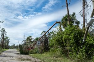 Storm damage along a quiet street: fallen utility poles, tangled wires, and overgrown brush block the road, with a 30 mph sign visible in the foreground.